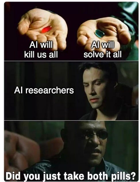 AI safety meme